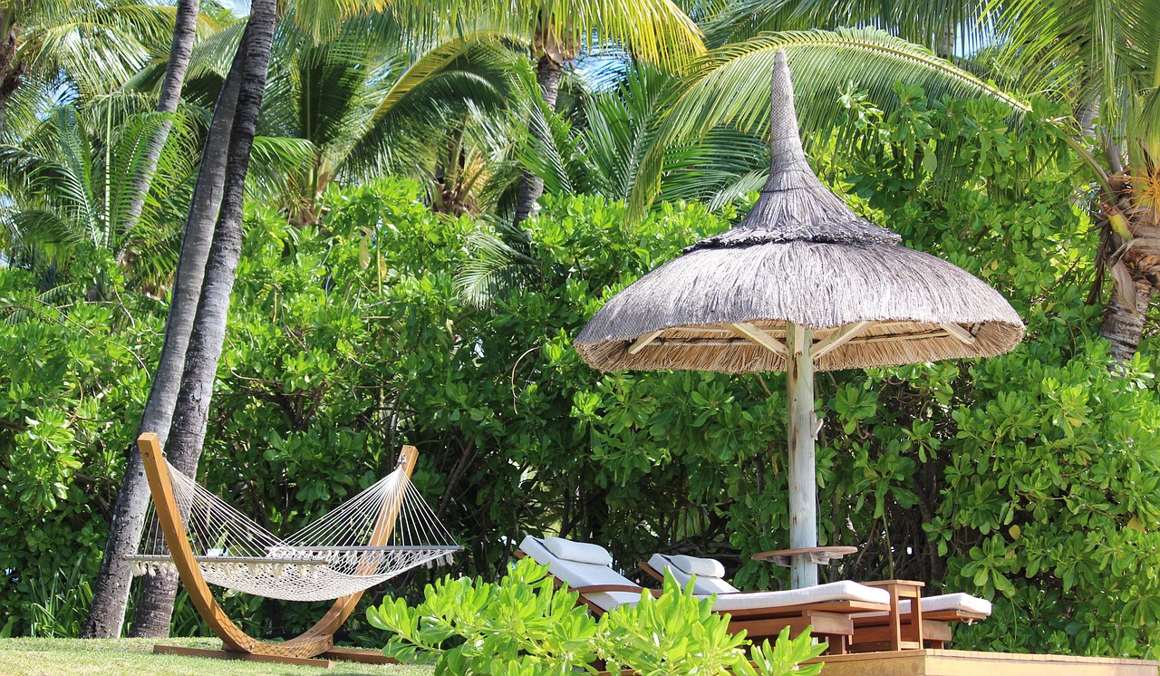 Image - hammock parasol palm trees