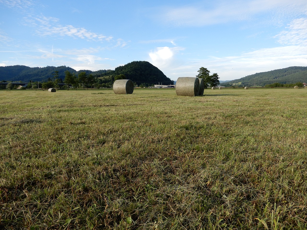 Image - round bales pasture agriculture sky