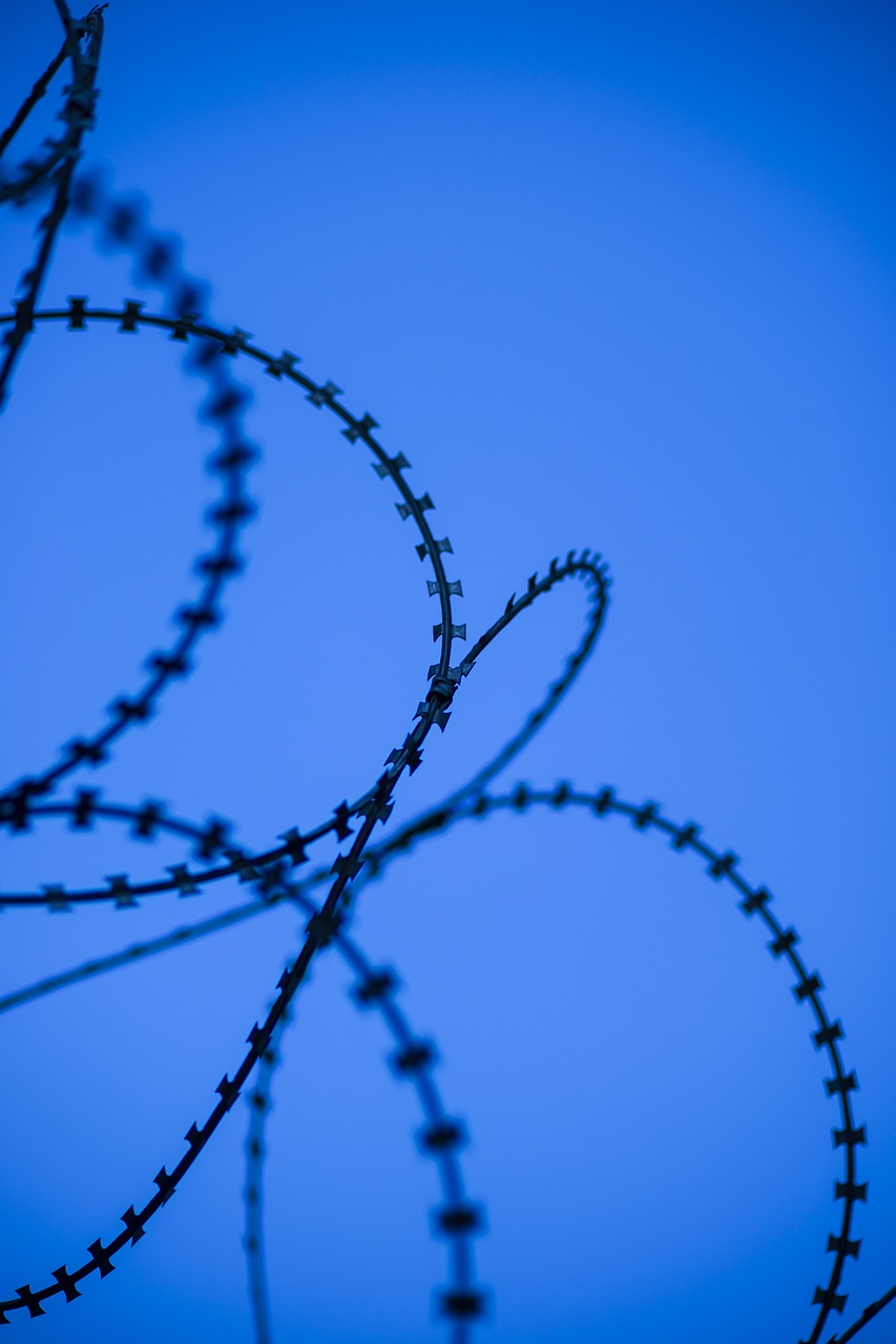 Image - blue wire prison barricade