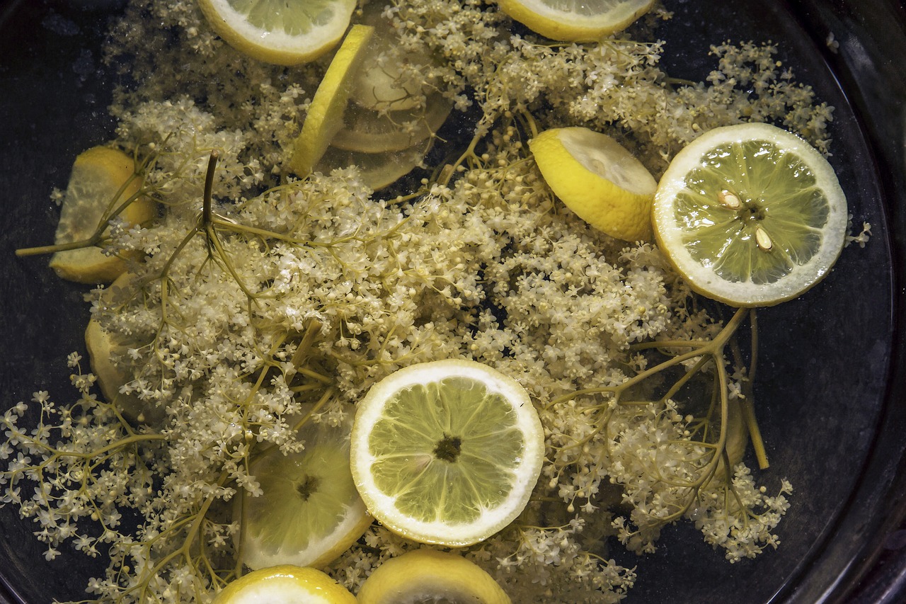 Image - elder sambucus lemon elderflower