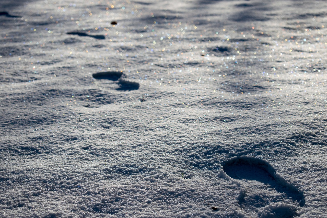 Image - snow footprints winter cold