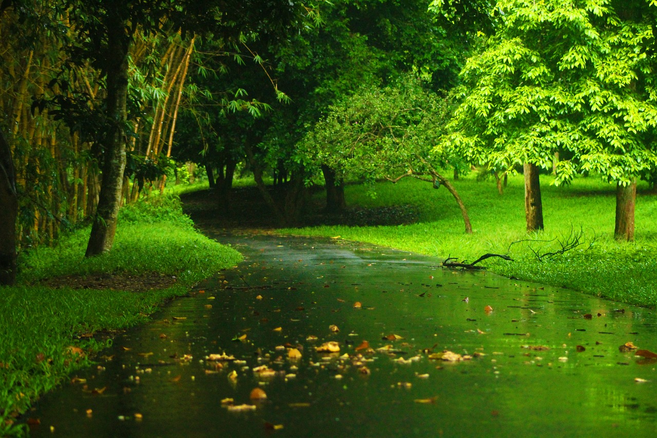 Image - landscape nature green rainy shine