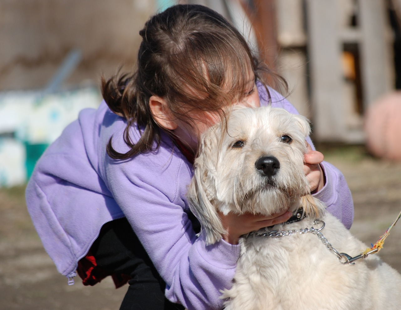 Image - novelty dog animals love kiss