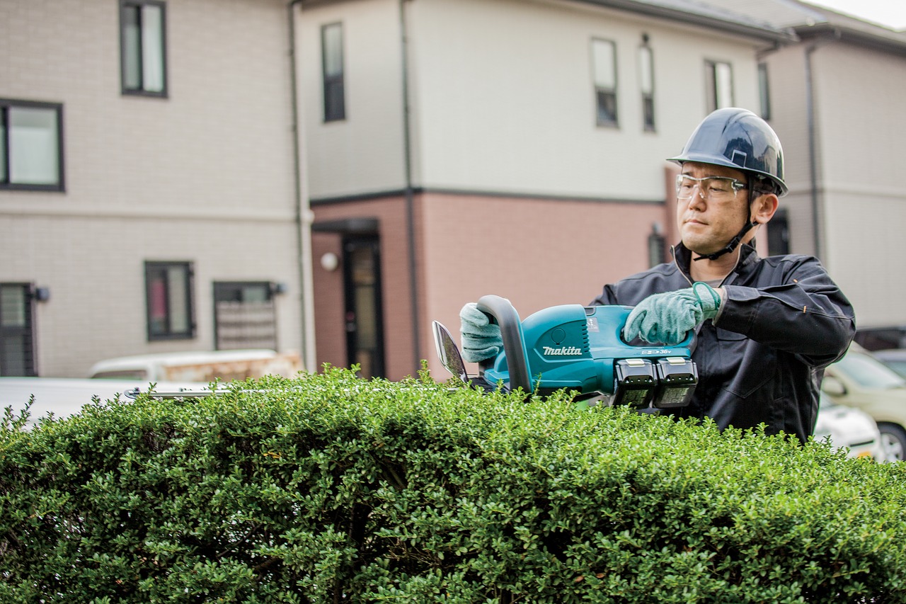 Image - a living fence ppe bush