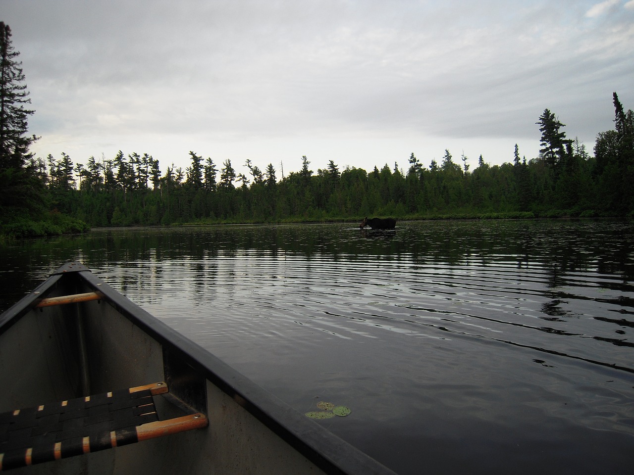 Image - canoe lake calm north bwca