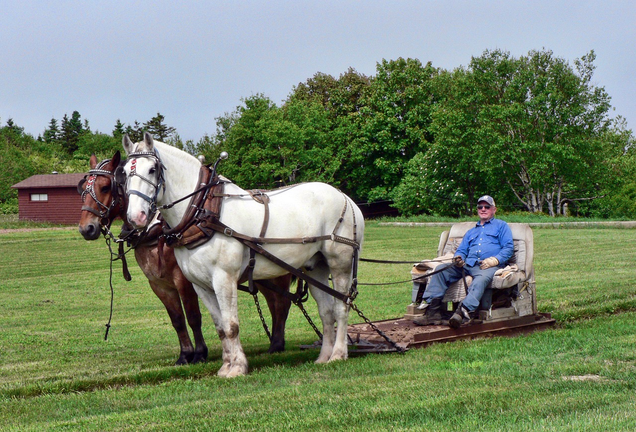Image - horses pull transportation driving