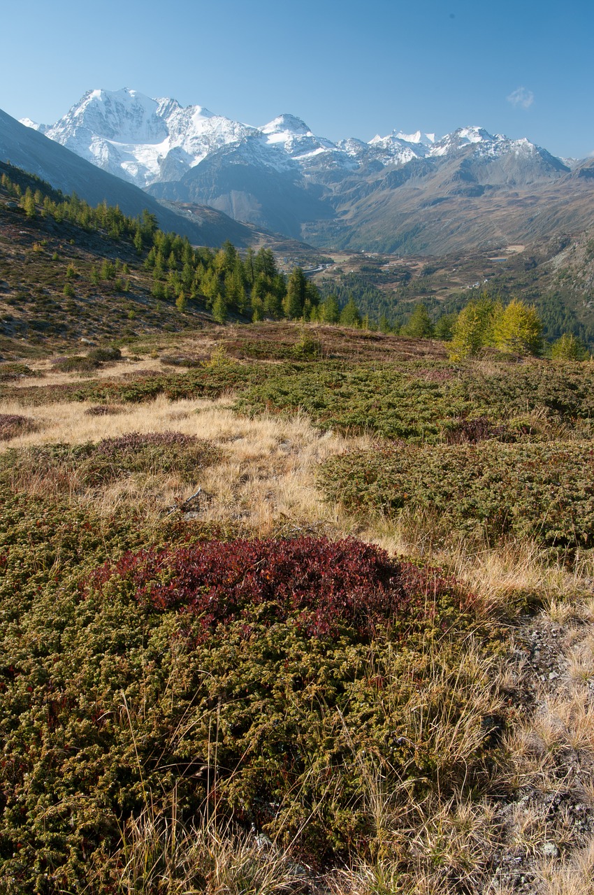 Image - simplon valais switzerland