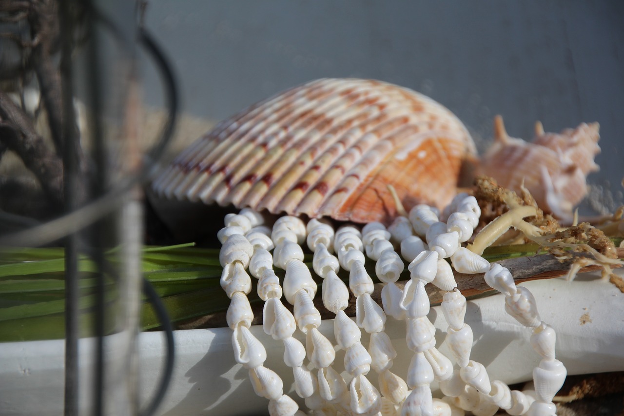 Image - fish mussels deco sea coast beach