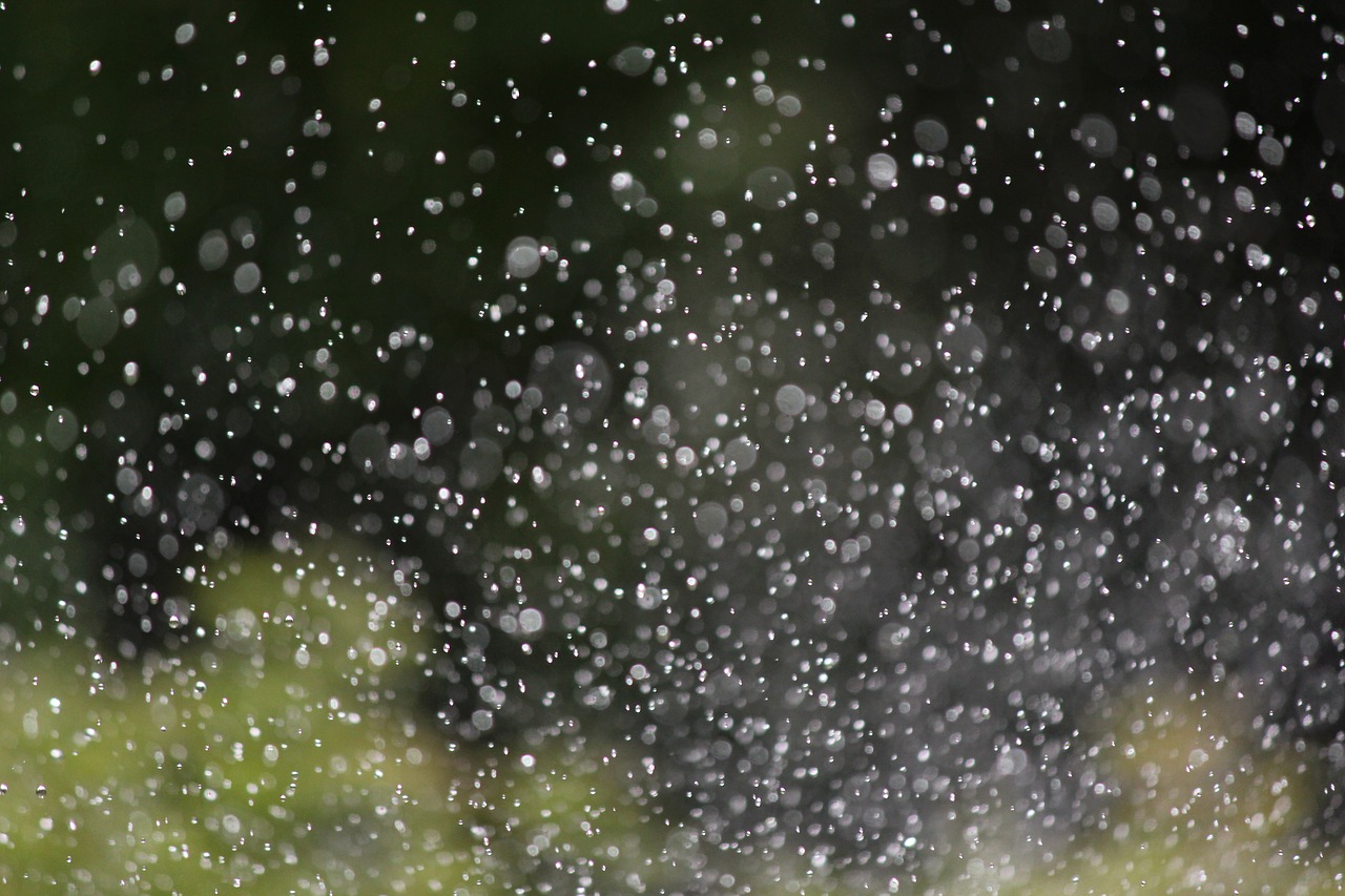 Image - water droplets rain garden