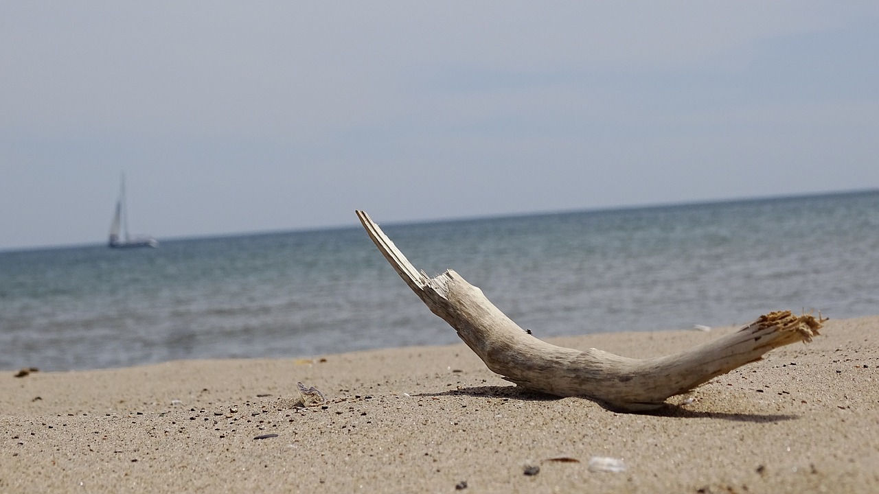 Image - north point marina beach