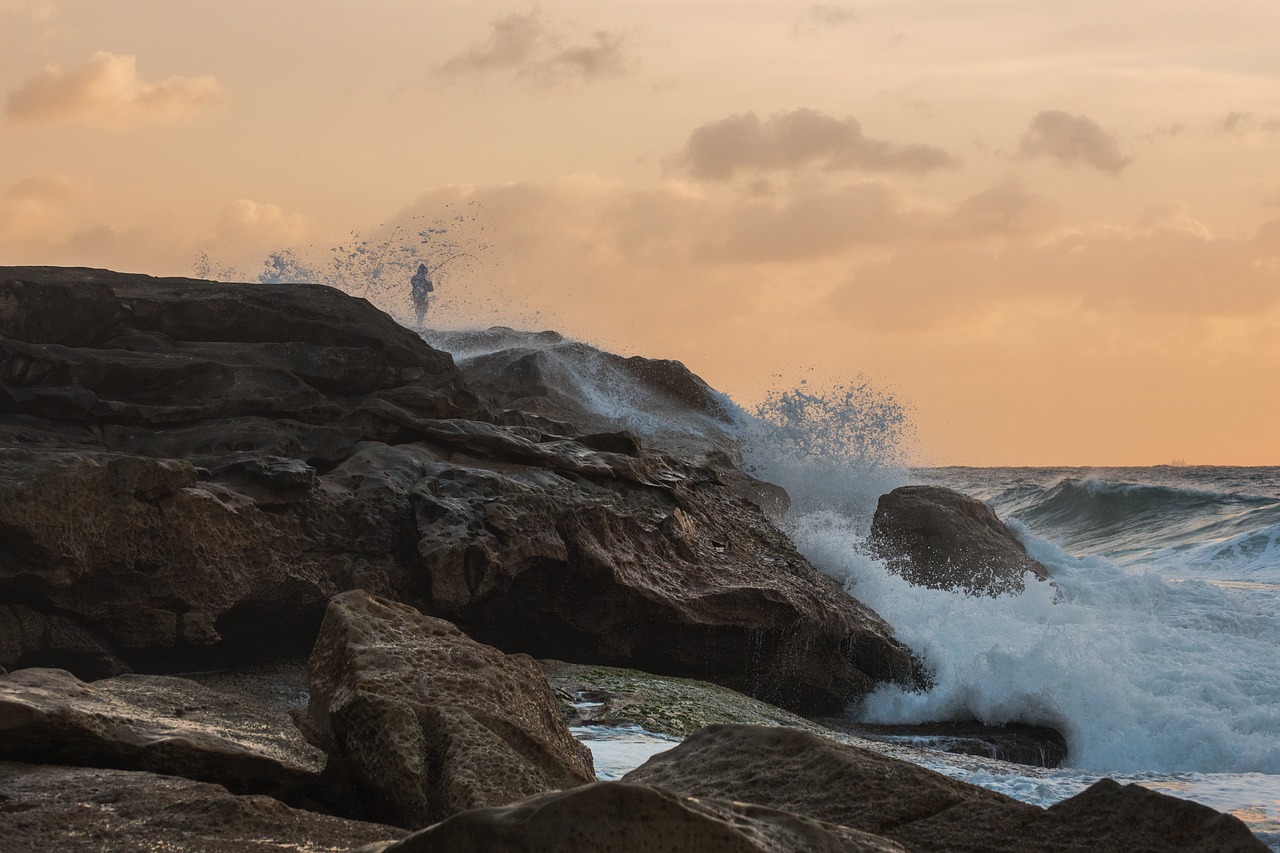 Image - seascape sydney australia sunrise