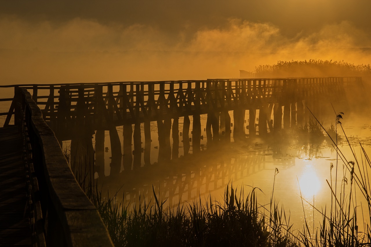 Image - mood morning fog sunrise mystical