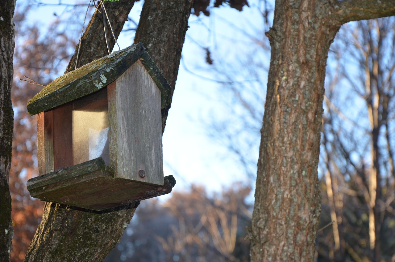 Image - manger birds nest box garden