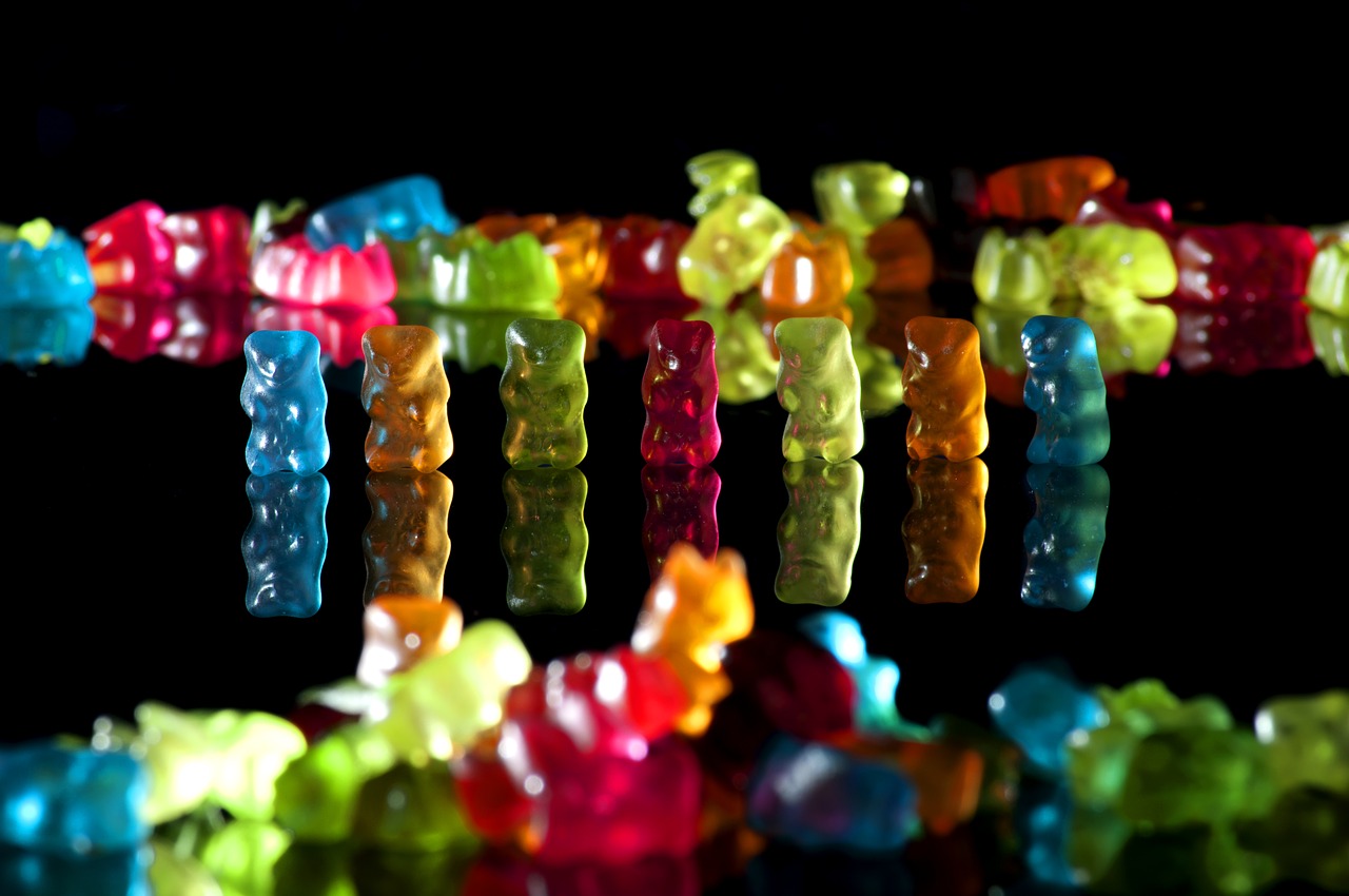 Image - bear gummi bears bear party