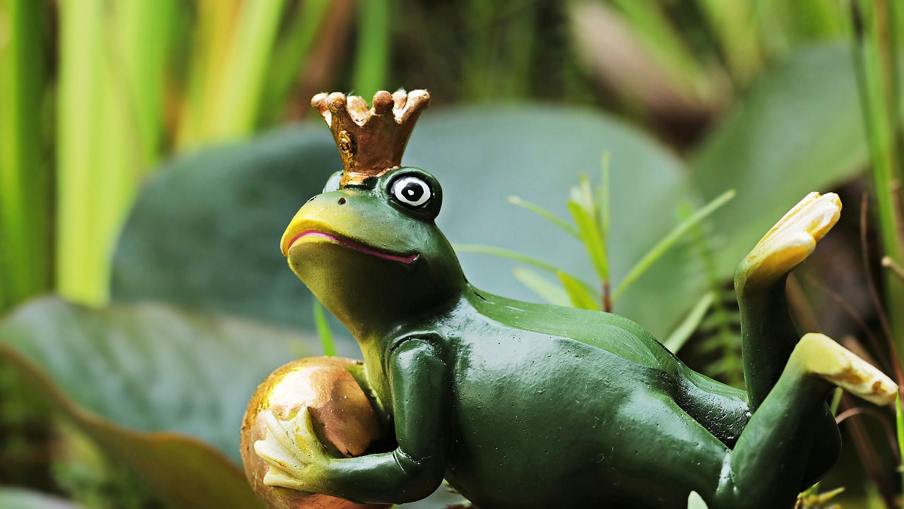 Image - frog prince frog frog figure figure