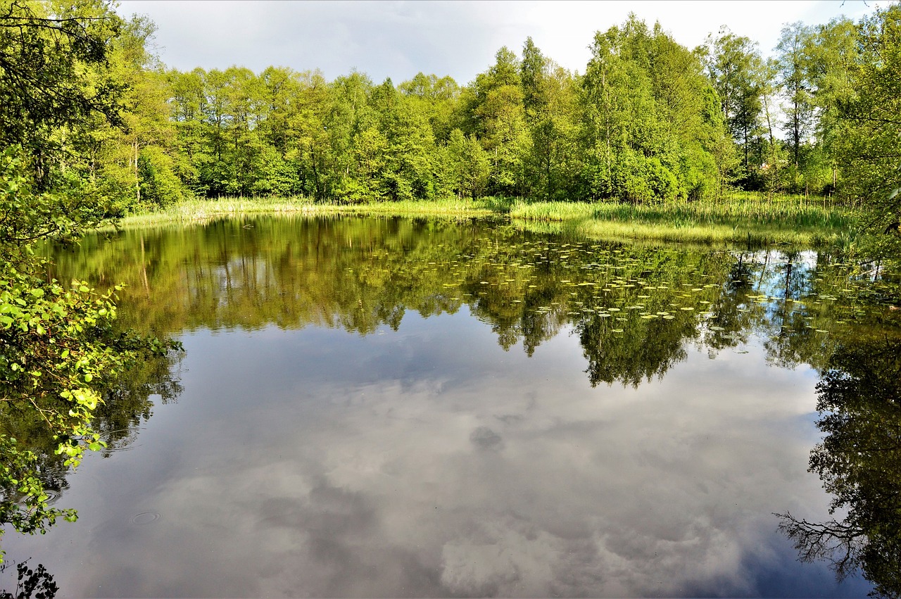 Image - lake water sweden beautifully