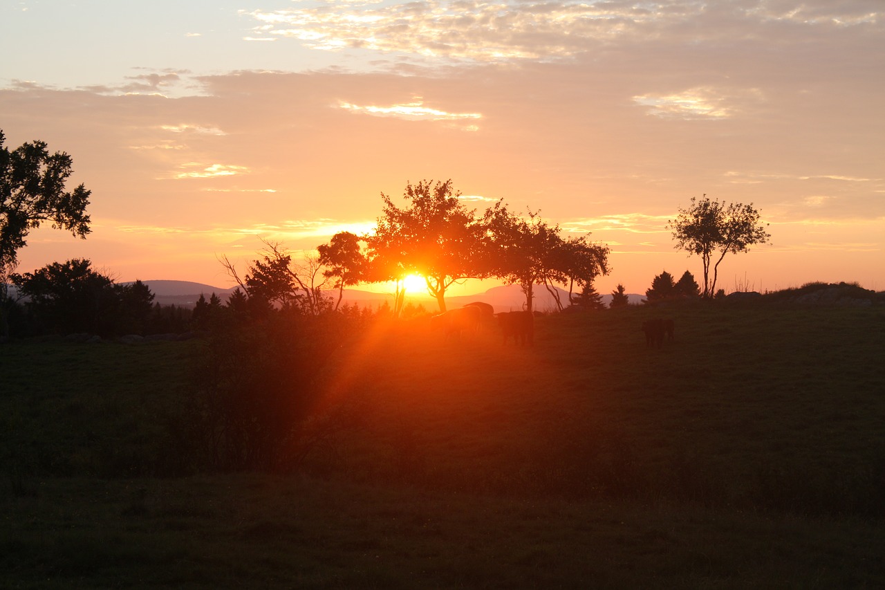 Image - lying sun landscape nature