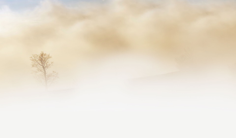 Image - fog tree desert sky earth beige