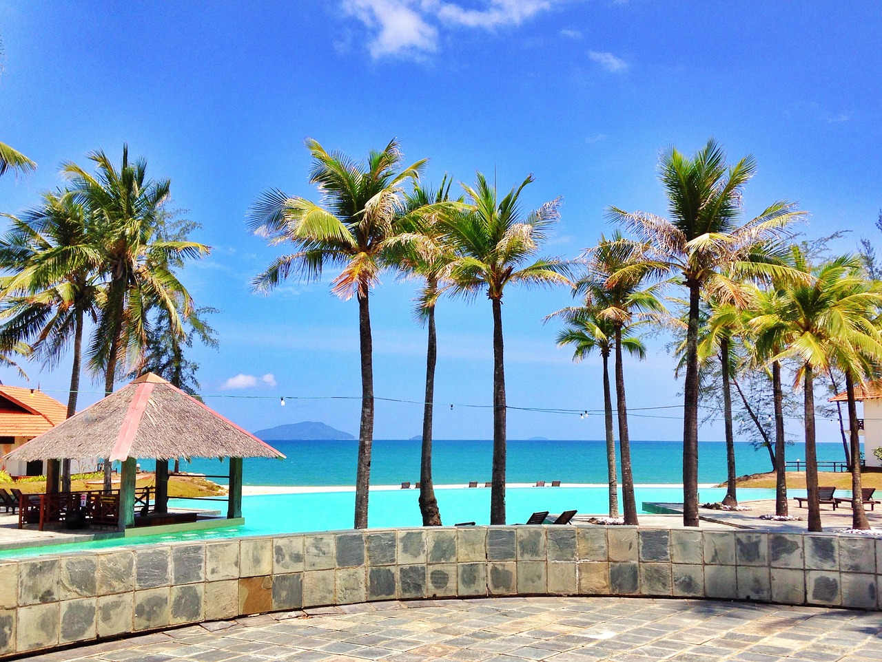 Image - resort palm tree coconut tree beach