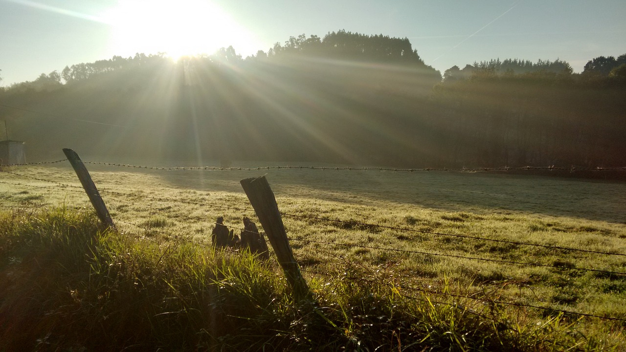 Image - sol rays about lawn eventide