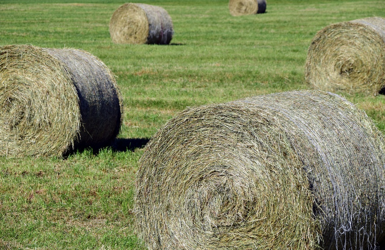 Image - hay hay bales agriculture field