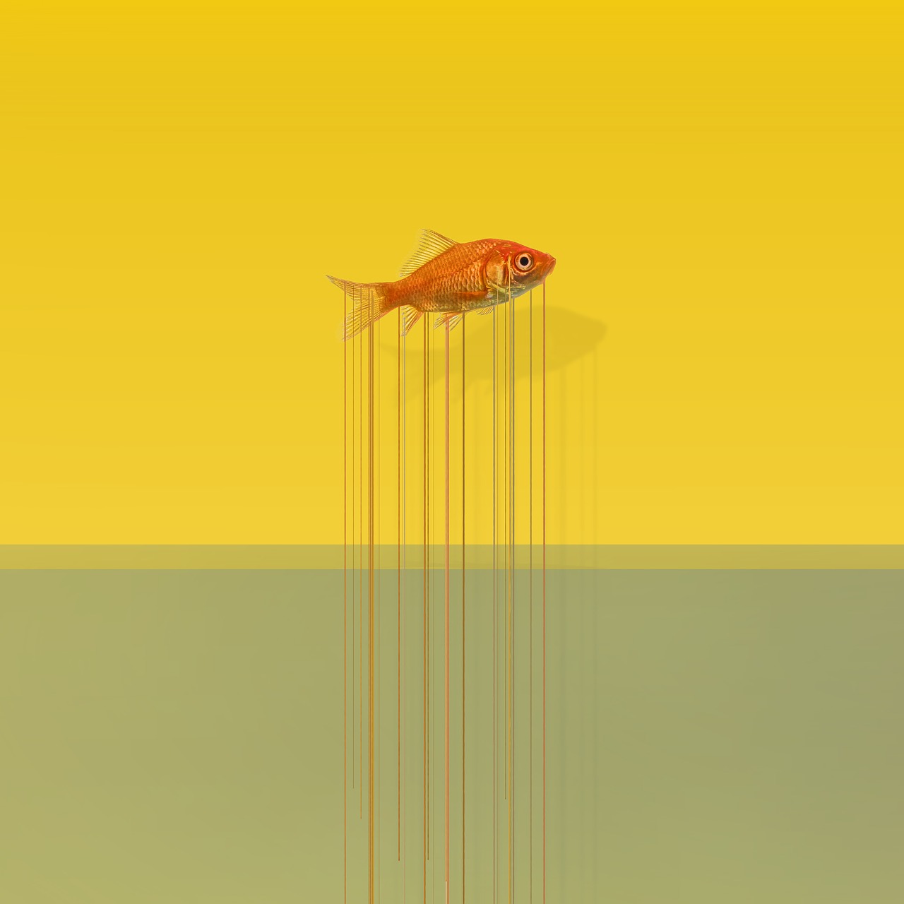 Image - fish art drops