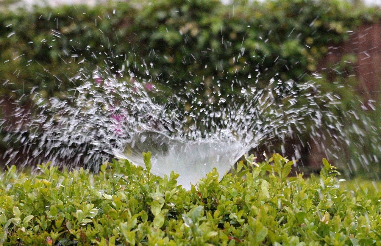 Image - irrigation inject water sprinkler