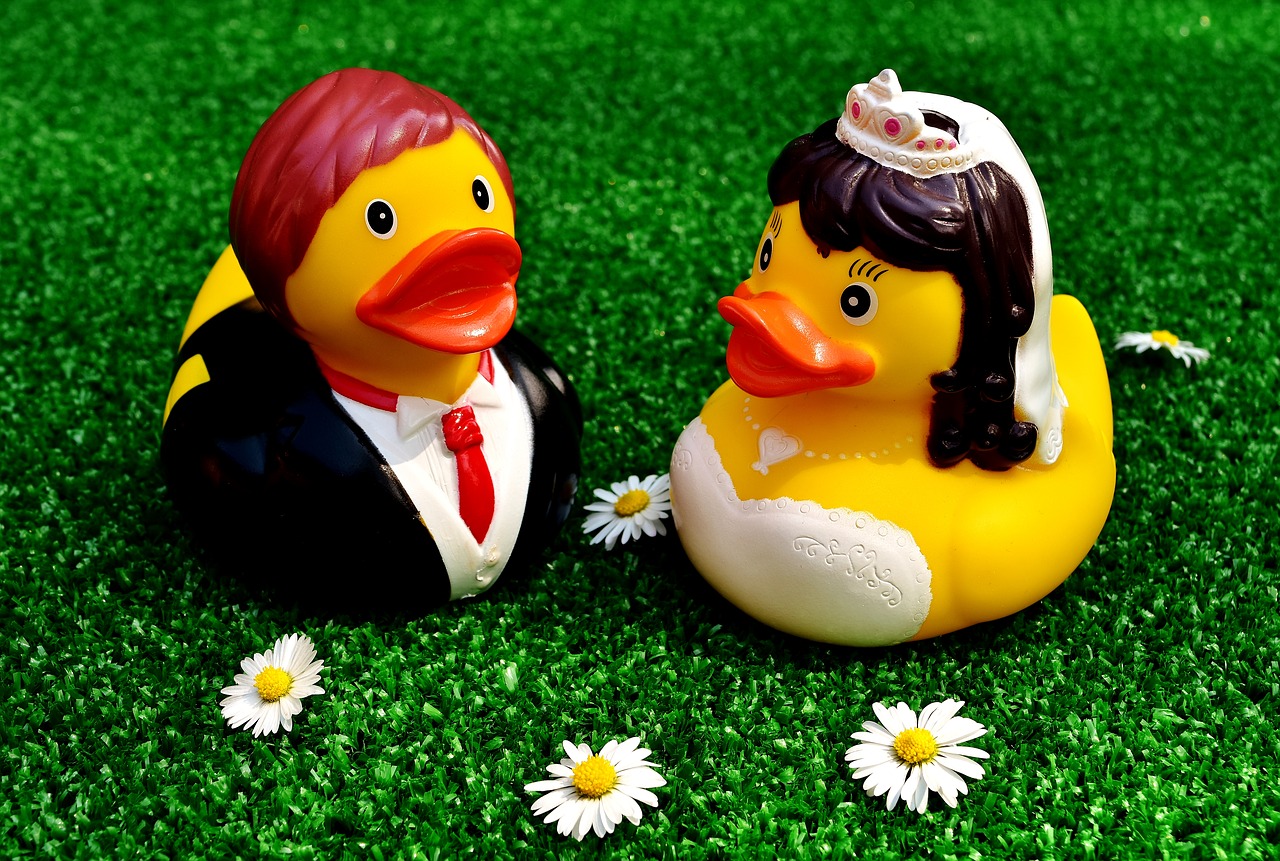 Image - rubber ducks wedding bride and groom