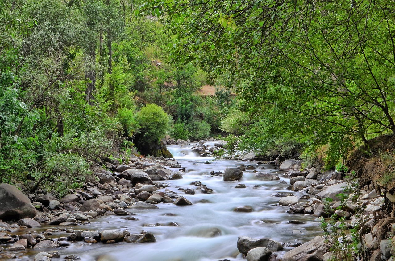 Image - river landscape turkey nature