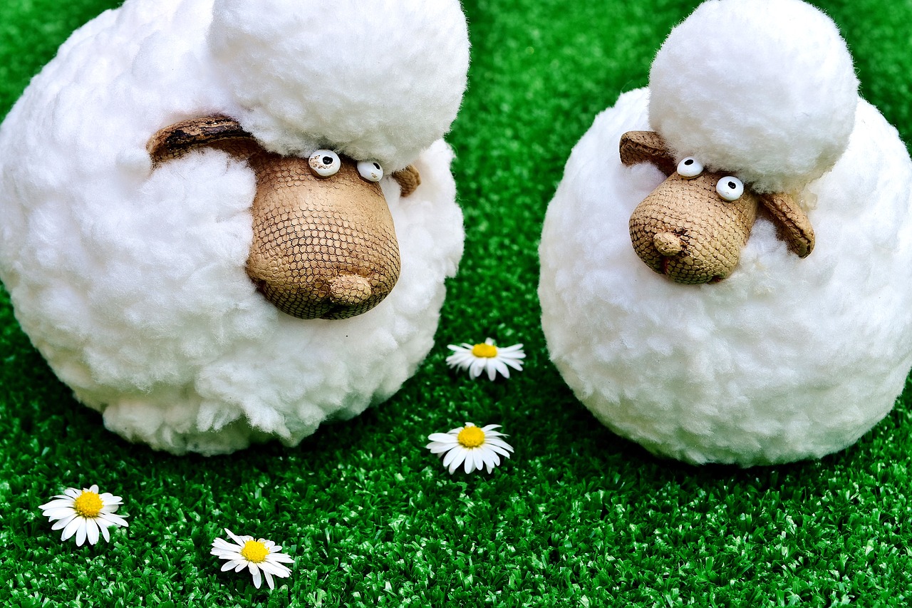 Image - sheep figures funny meadow daisy