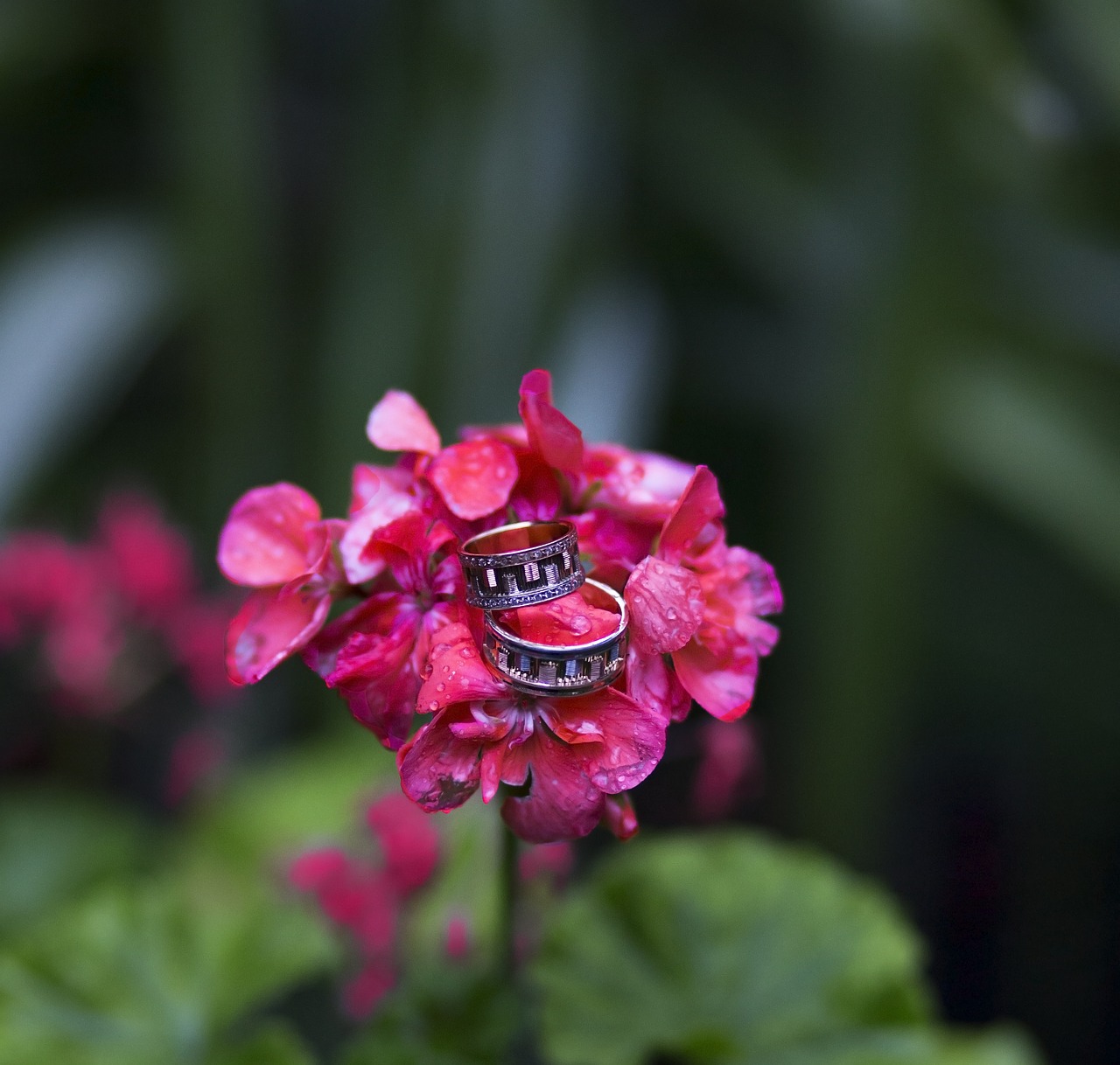 Image - ring flower heart bride groom