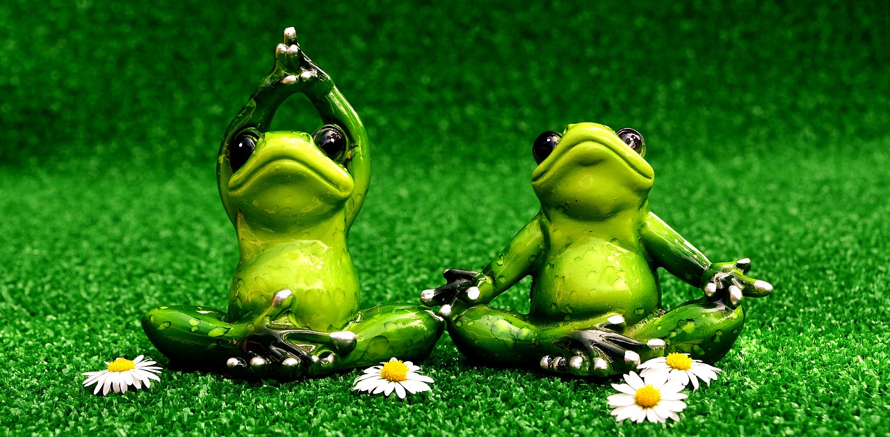 Image - frogs yoga meadow figure animal