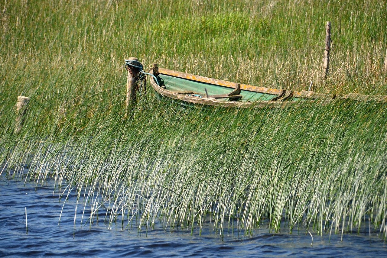 Image - boot river water fishing boats