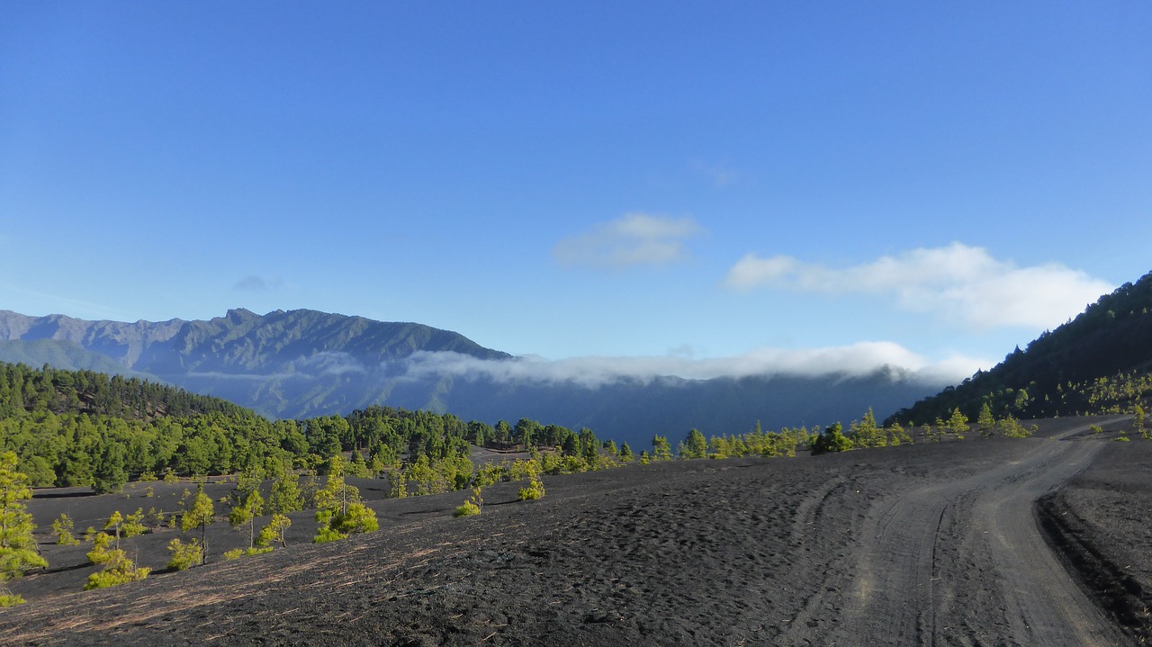 Image - volcanic landscape palma