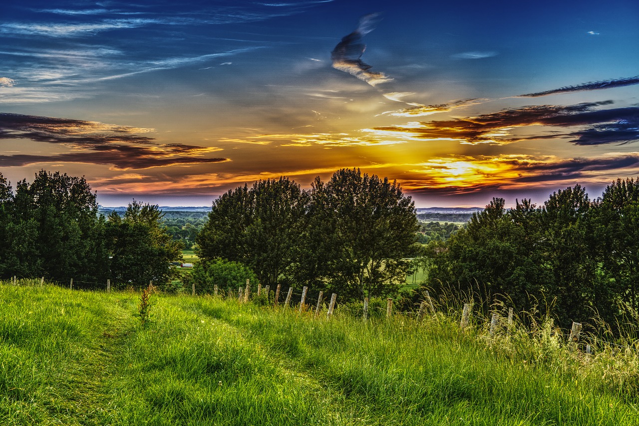 Image - sunset meadow landscape nature