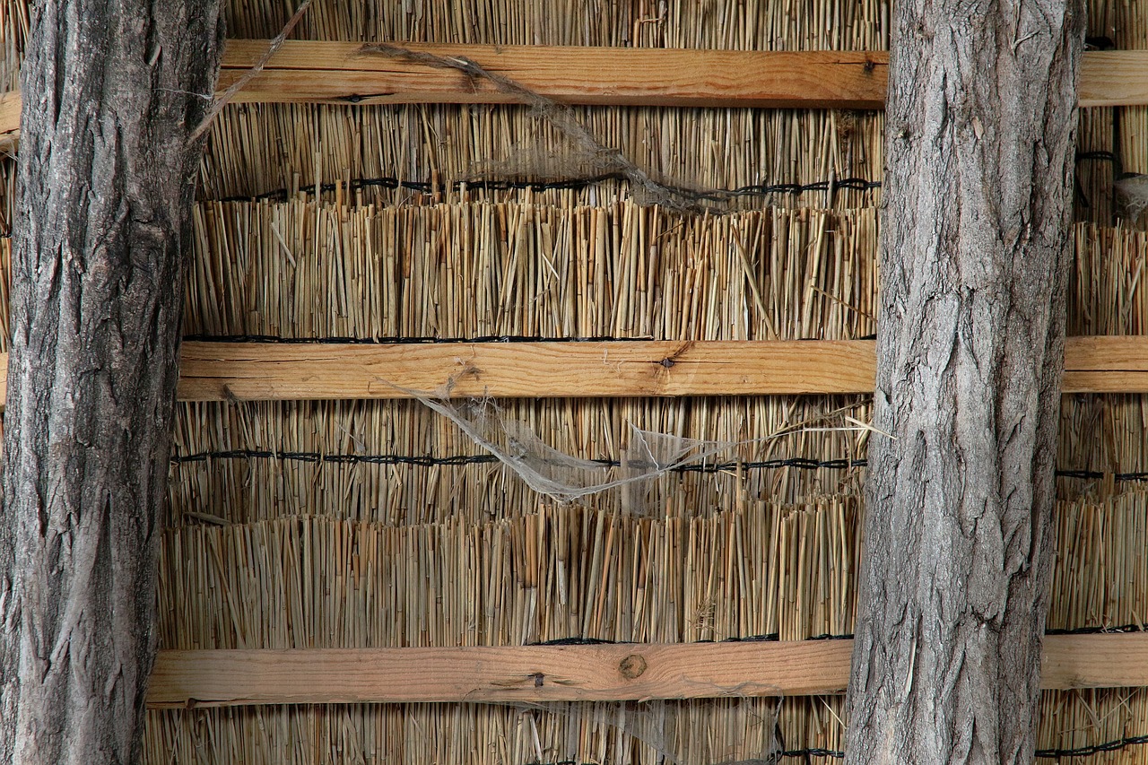 Image - straw hut ethno cobweb spider webs