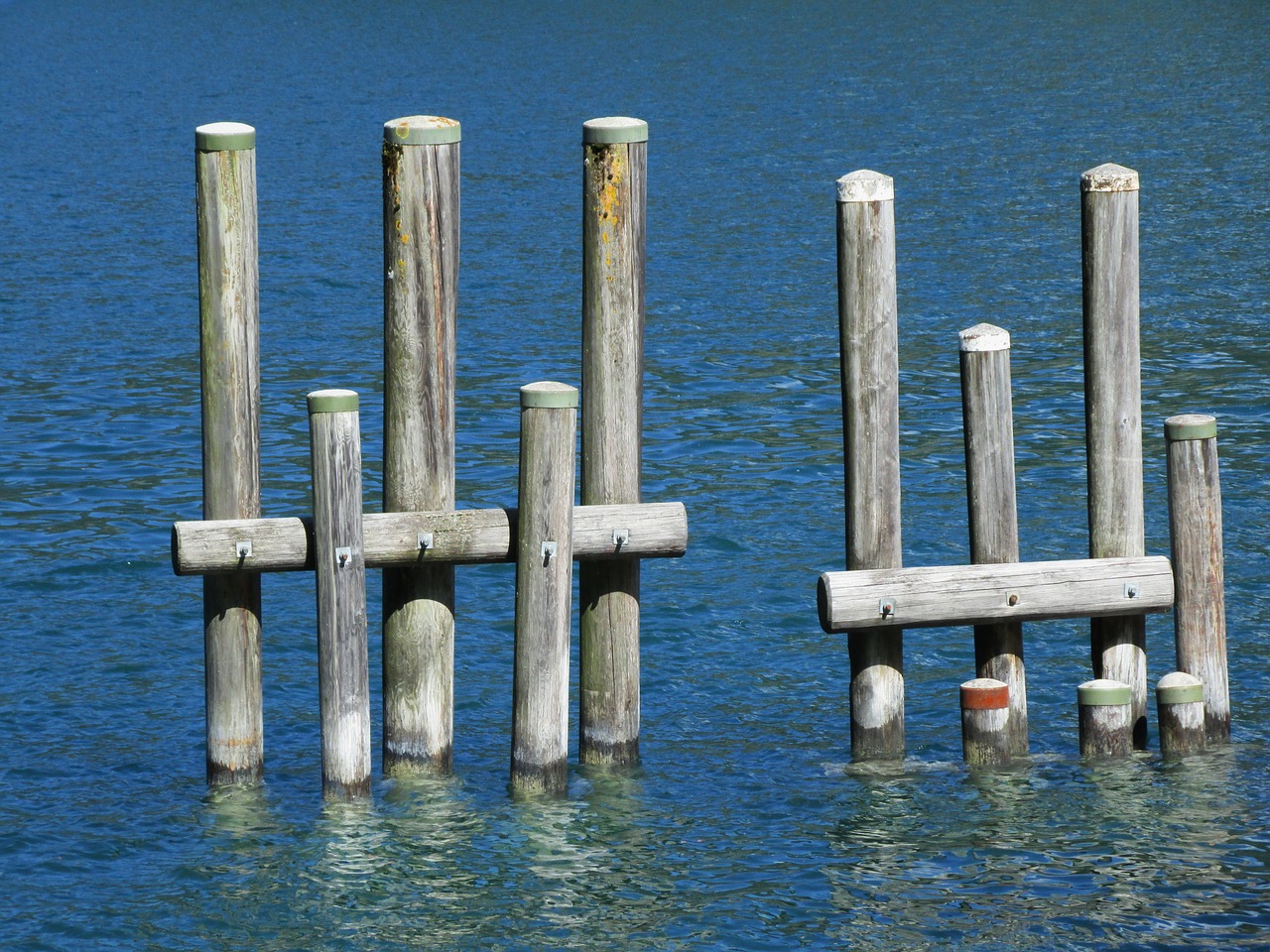 Image - tribe strains water lake wood