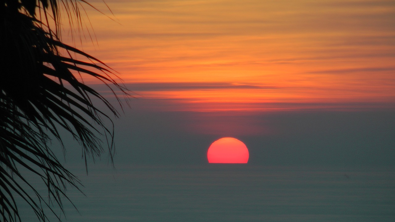 Image - sunset palma sea palm afterglow