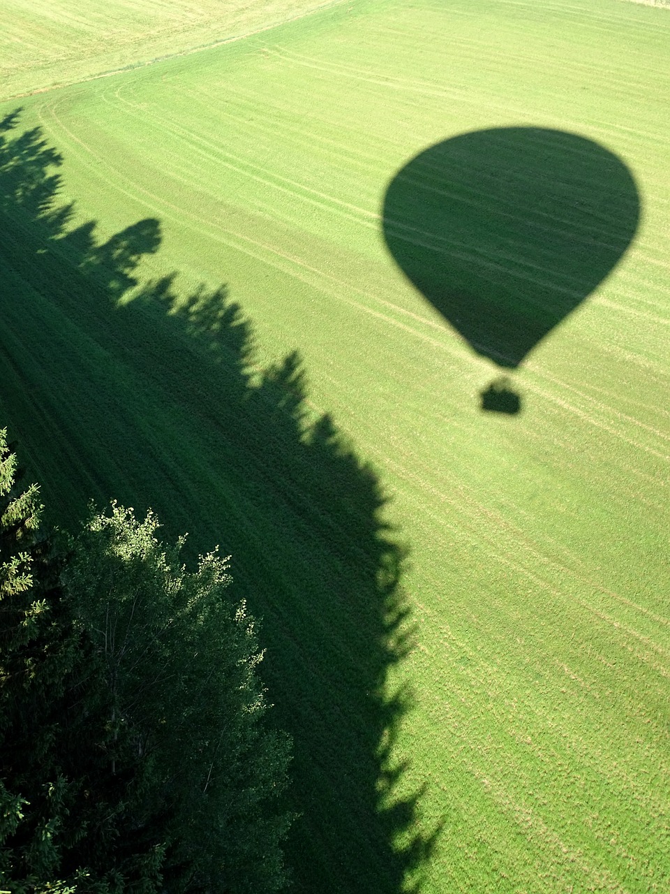 Image - balloon shadow hot air balloon ride