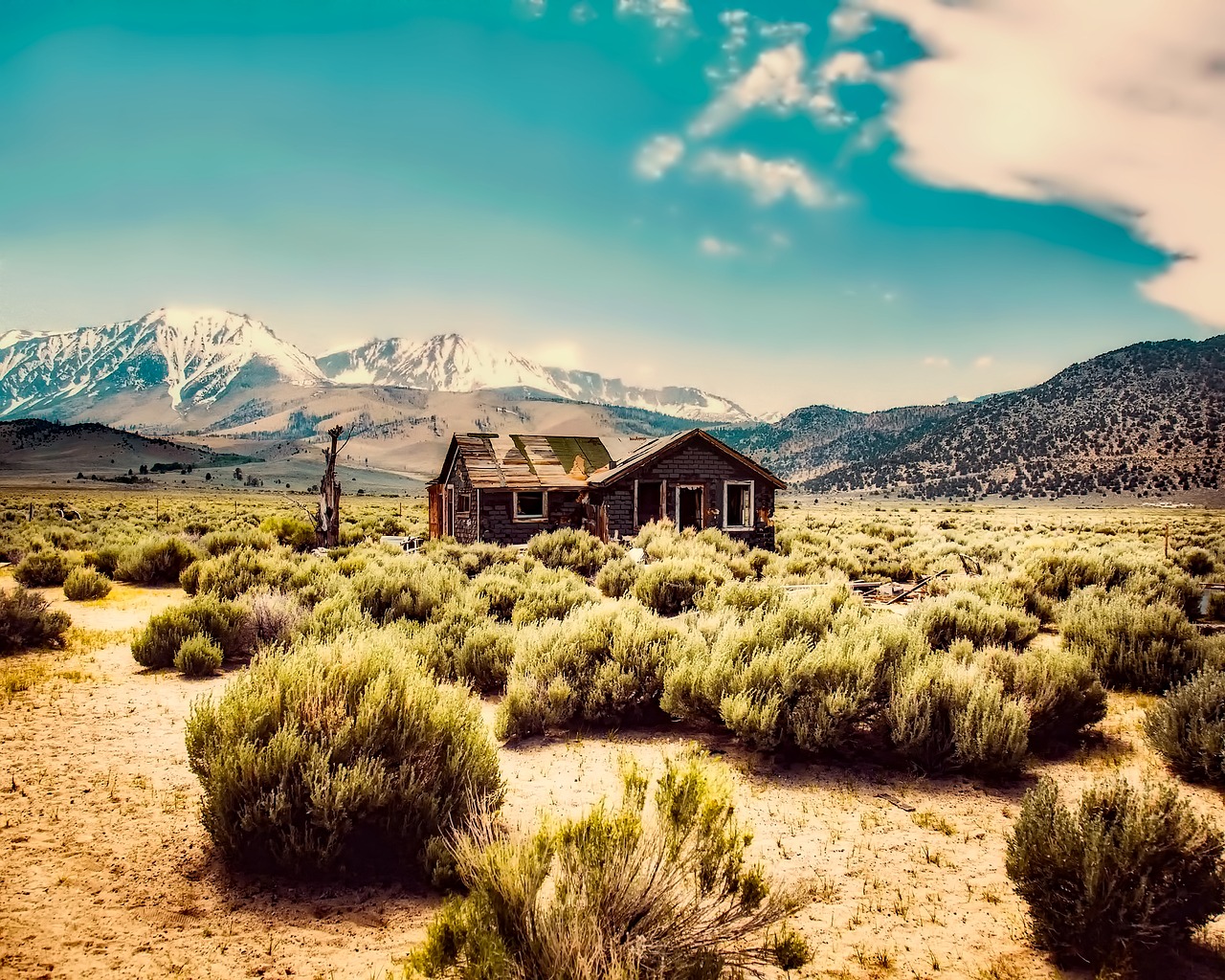 Image - desert shack cabin abandoned