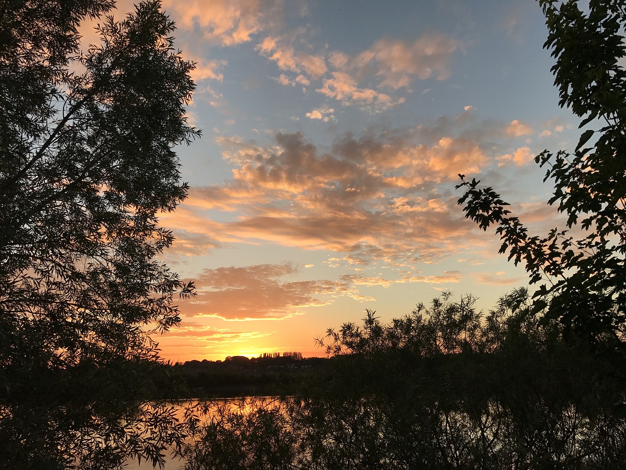 Image - nature clouds trees landscape sun