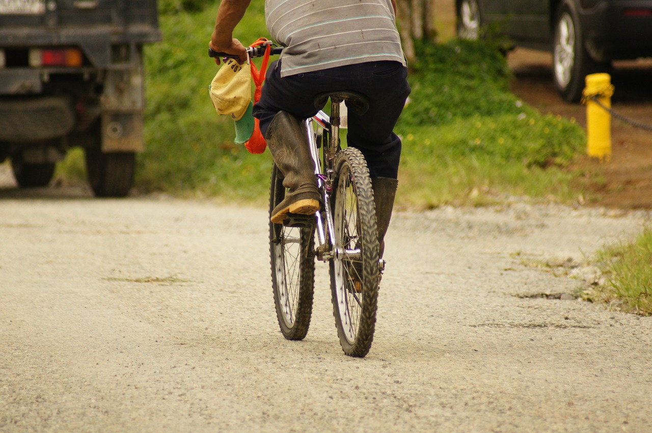 Image - landscape bicycle sidewalk india