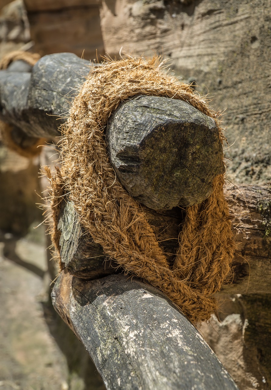 Image - railing rope jungle background