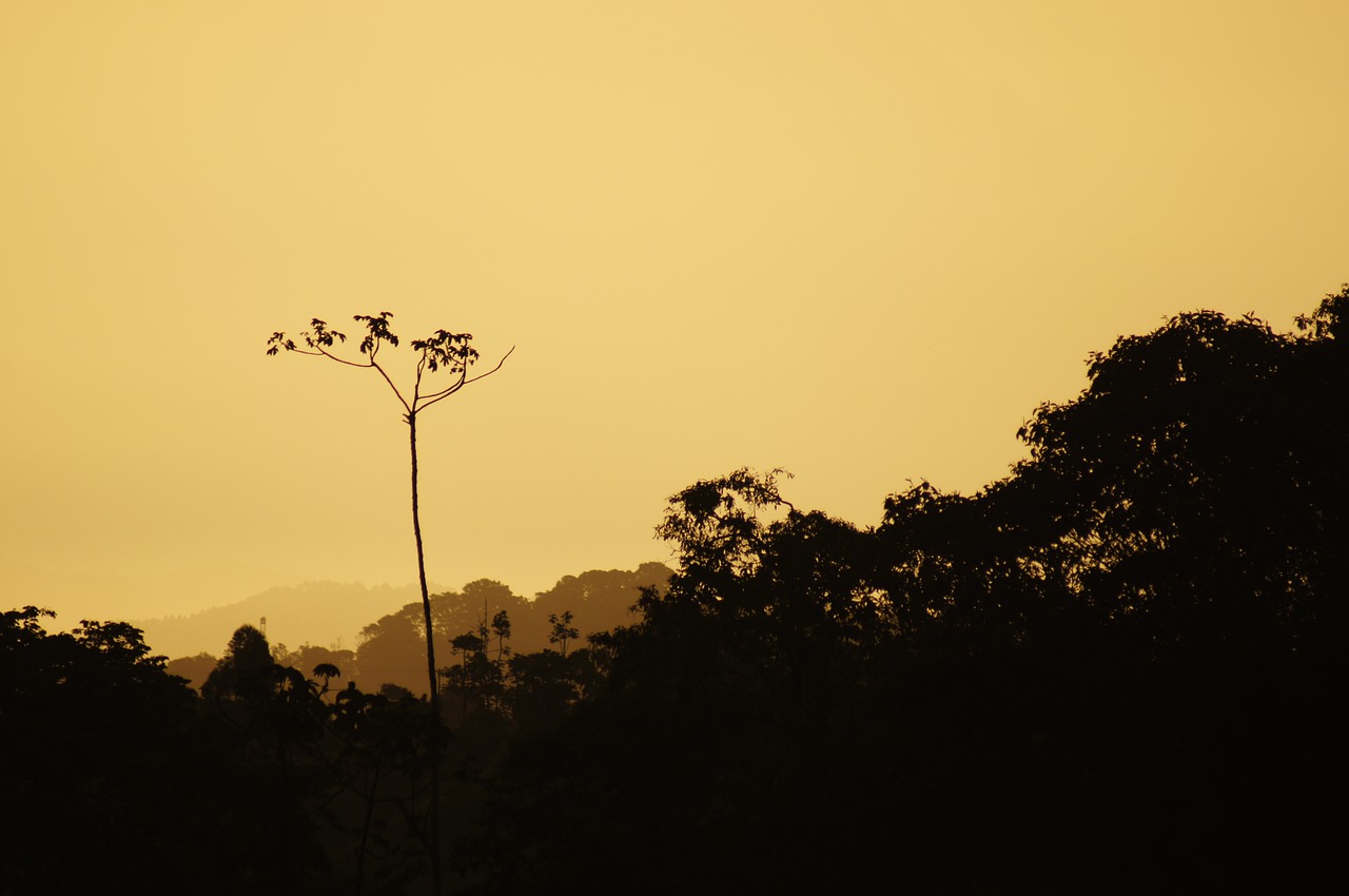 Image - sunsets salento quindio colombia