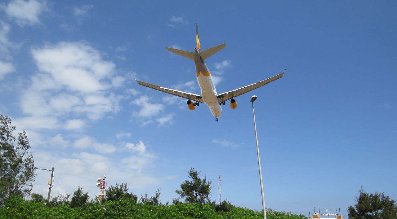 Image - airport the palmas of great