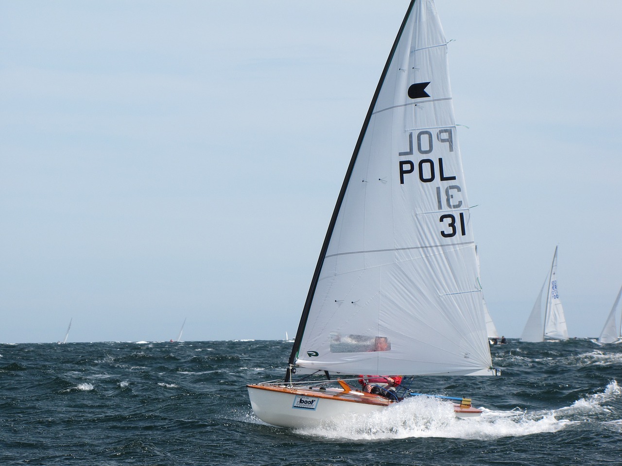 Image - sail dinghy ok dinghy regatta