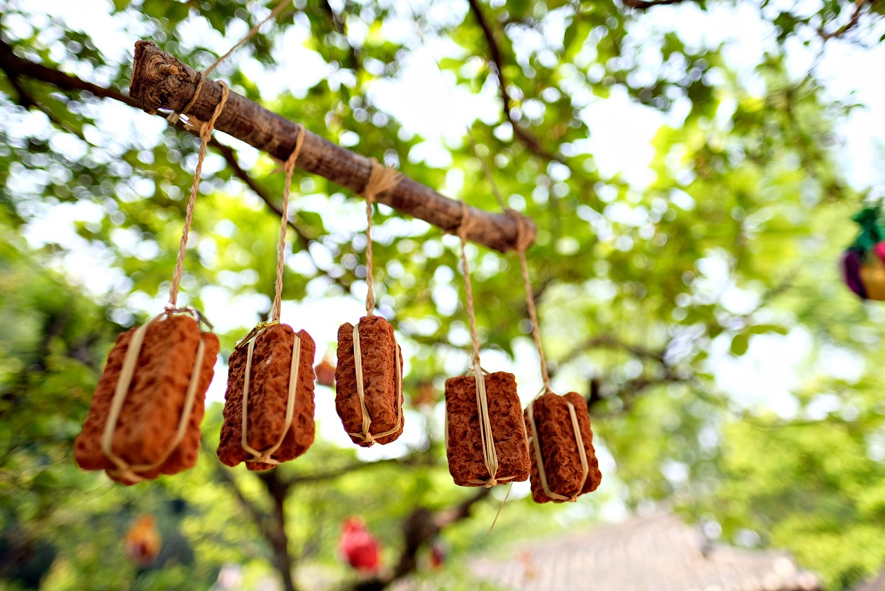Image - yong folk village maryland state