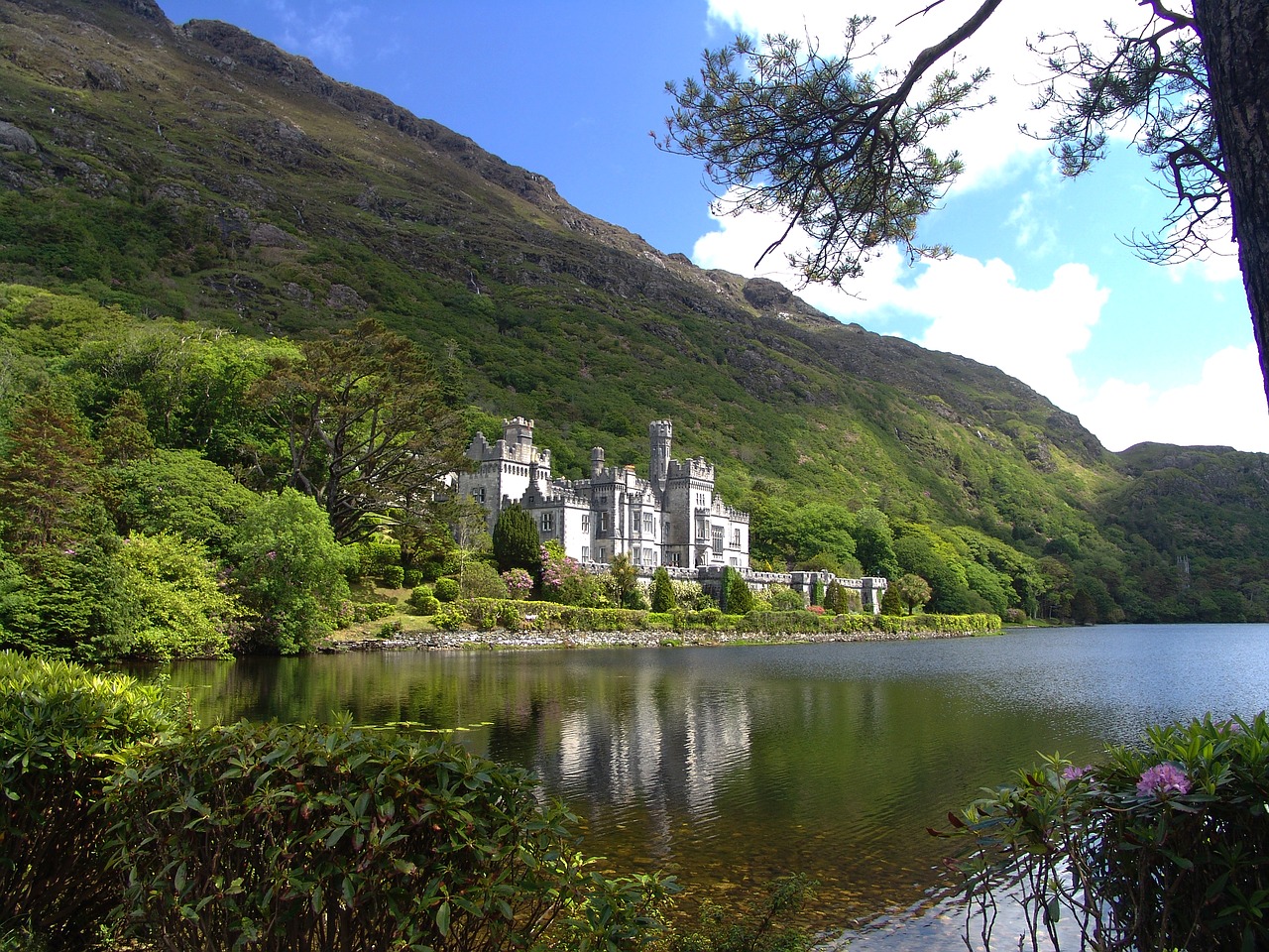 Image - ireland castle nature landscape