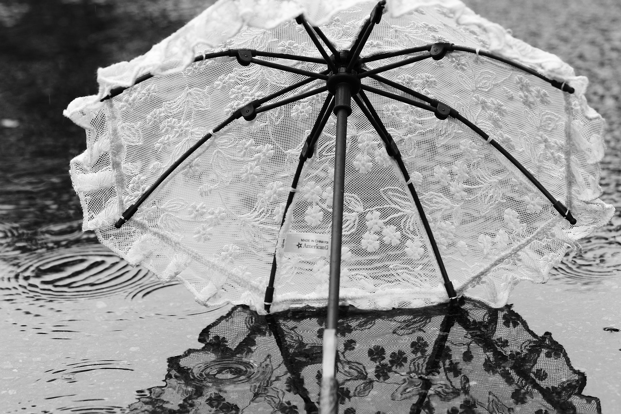 Image - umbrella parasol water rain