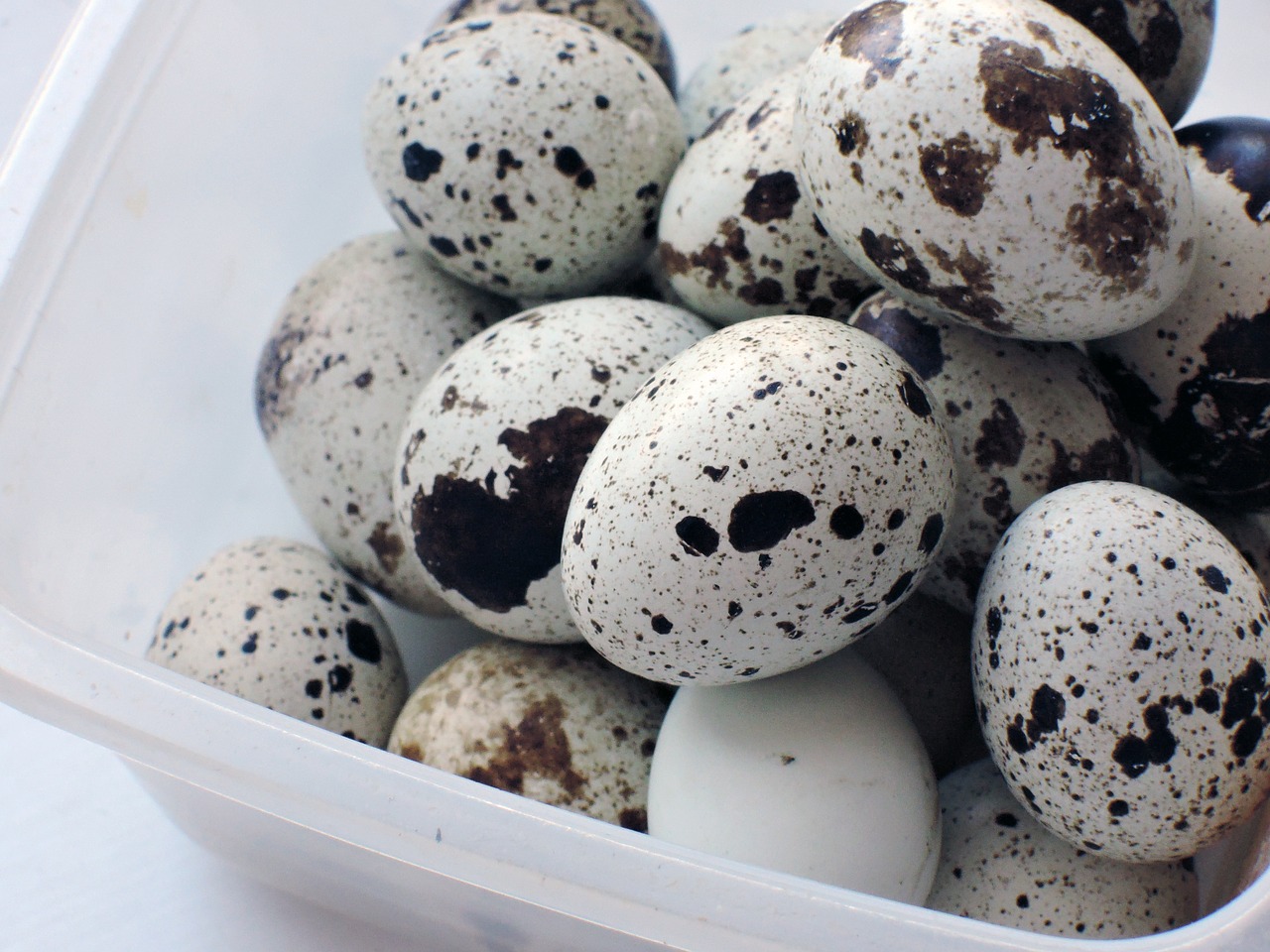 Image - eggs quail food products